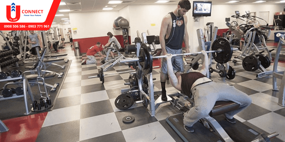Giới thiệu trường Wentworth Institute of Technology, bang Massachusetts, Mỹ và cơ sở vật chất của trường